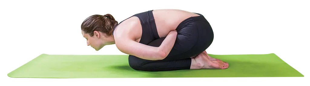 MAYURASANA (peacock pose)