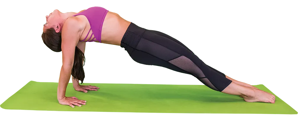 Intensify Your Yoga Practice With the Dolphin Plank | BODi