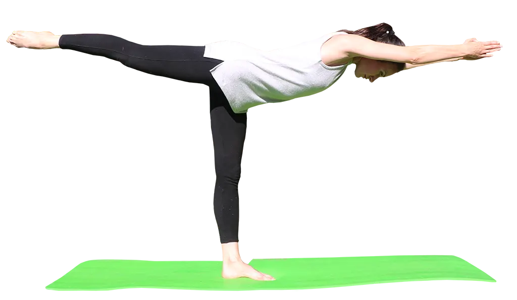 virabhadrasana lll - YogPlan