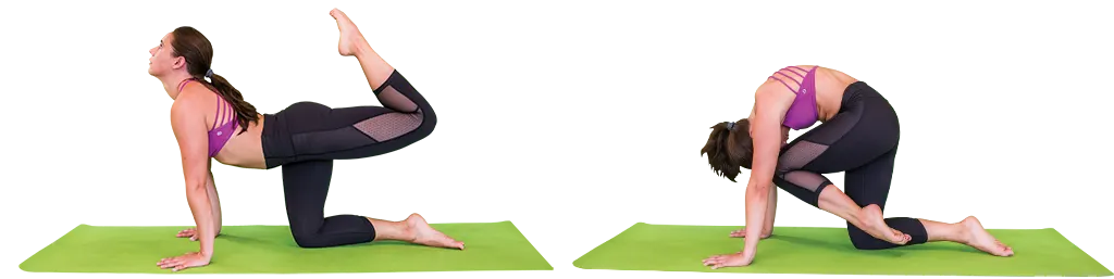 Vyaghrasana