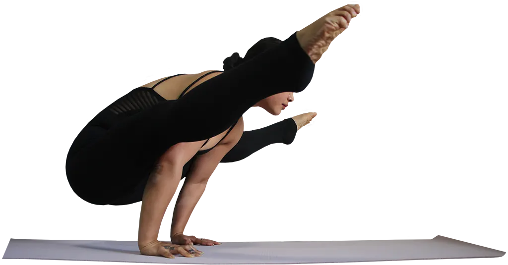 Advanced Version of Main Pose