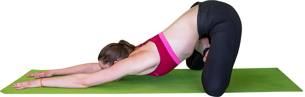 Padma Uttana Shashankasana