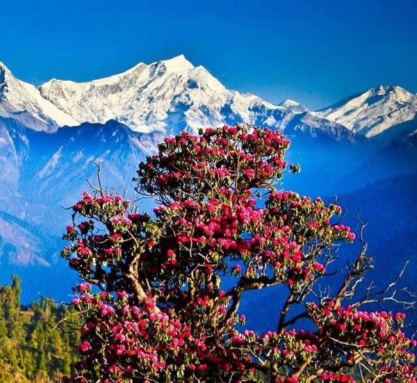 Nepal Nature